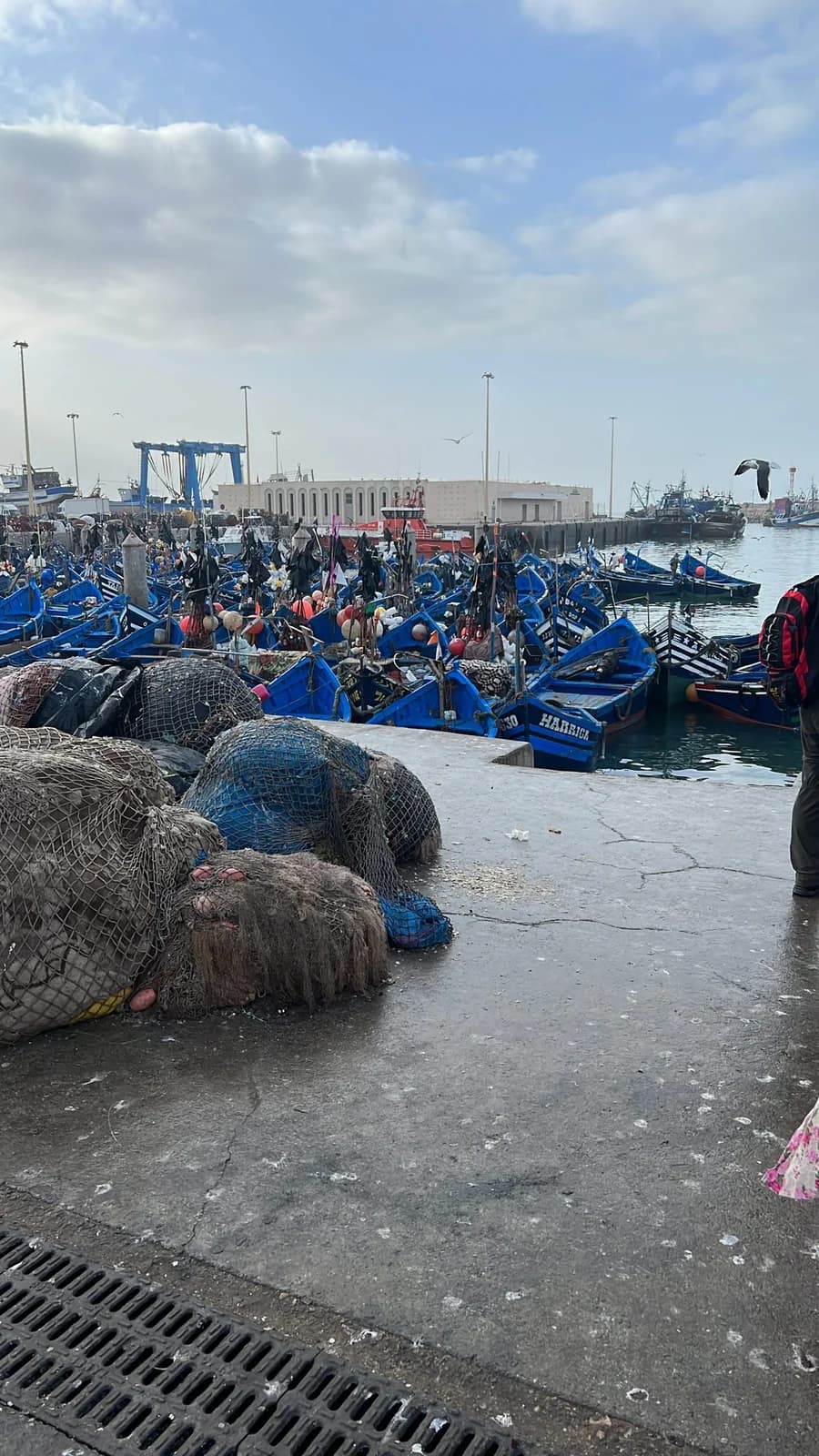 Blue fishing boats in Essaouira harbour
