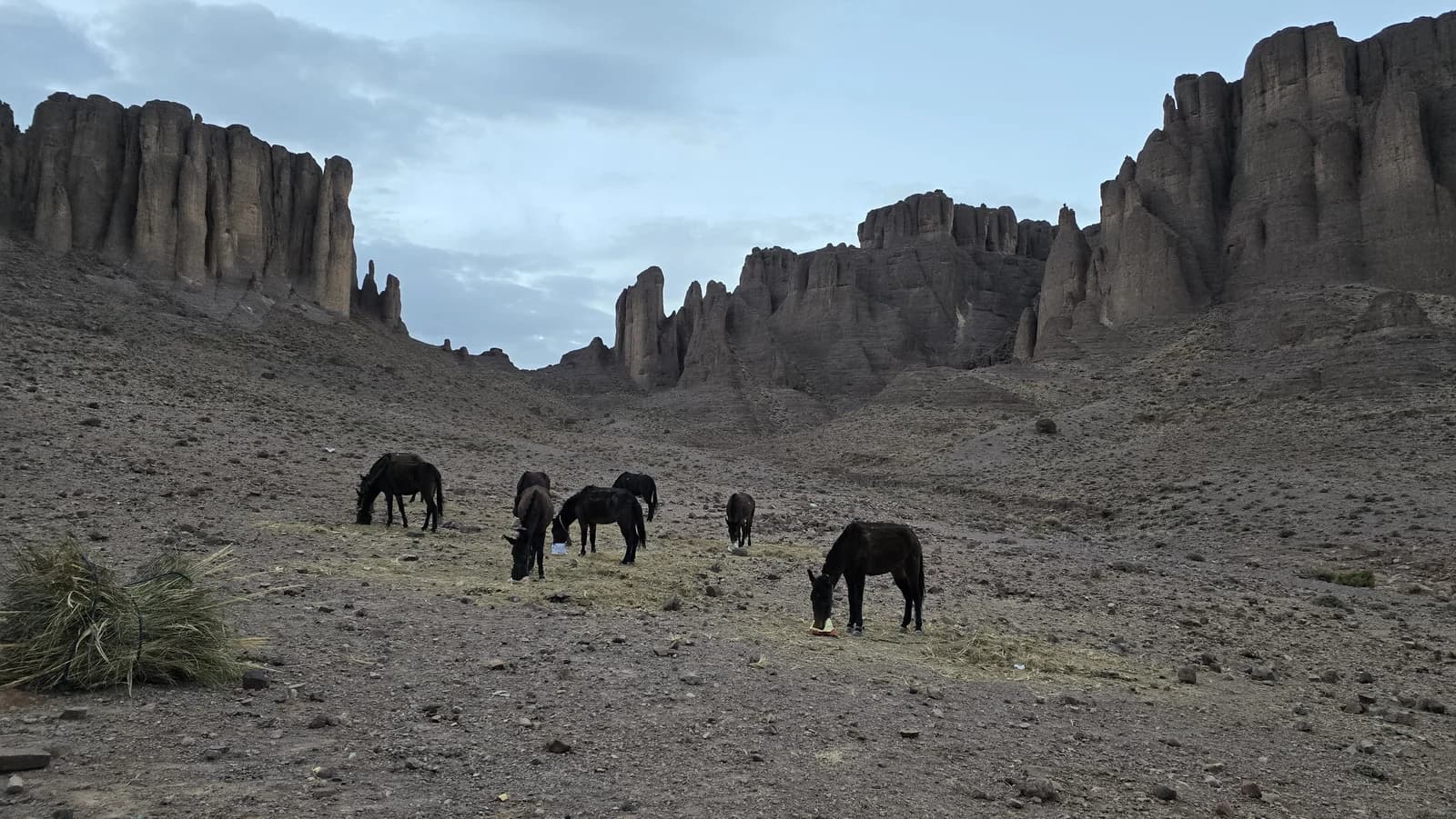 Pack animals in a rocky valley between tall stone pillars