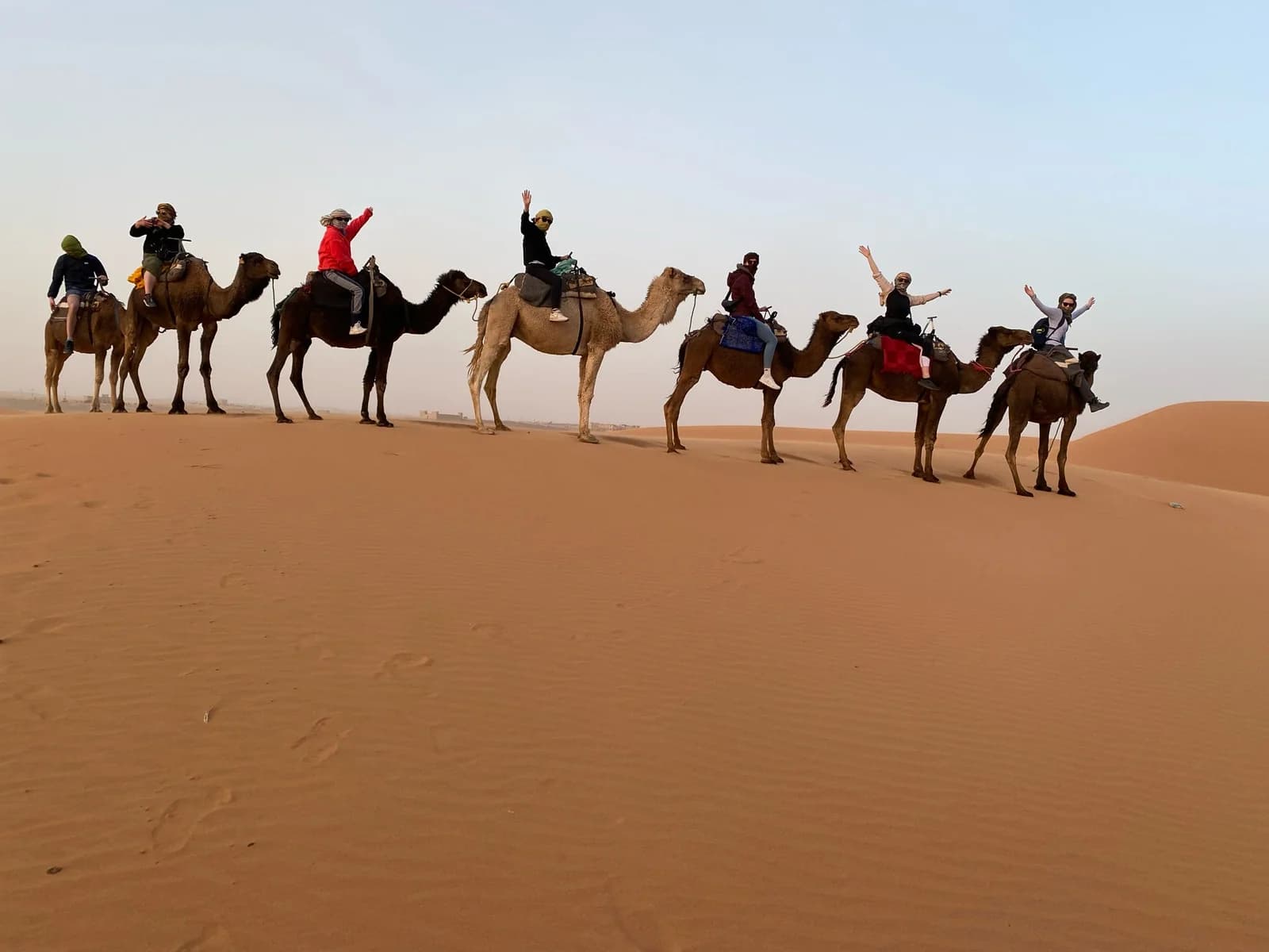 Travellers riding camels along a dune near Merzouga