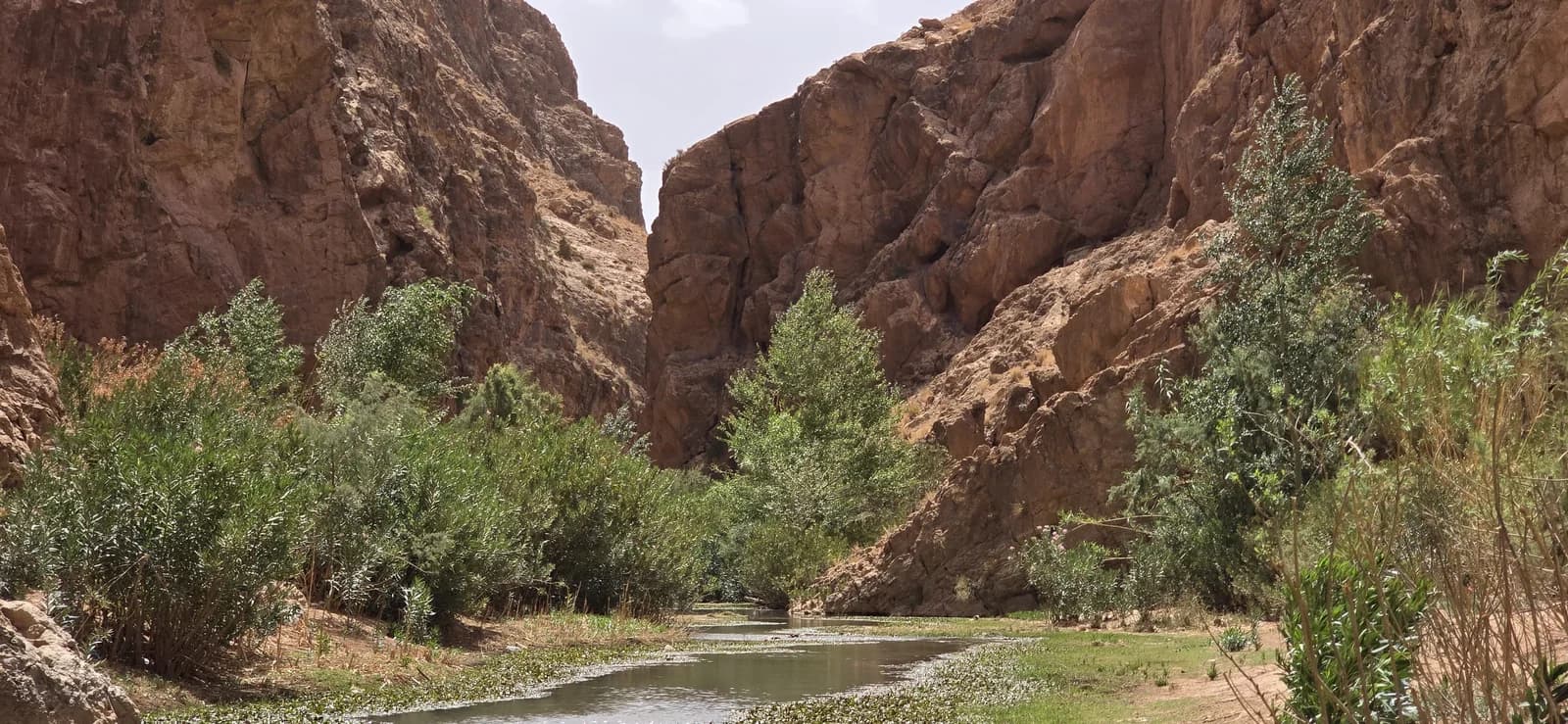 A shallow river winding between rocky gorge walls and green shrubs