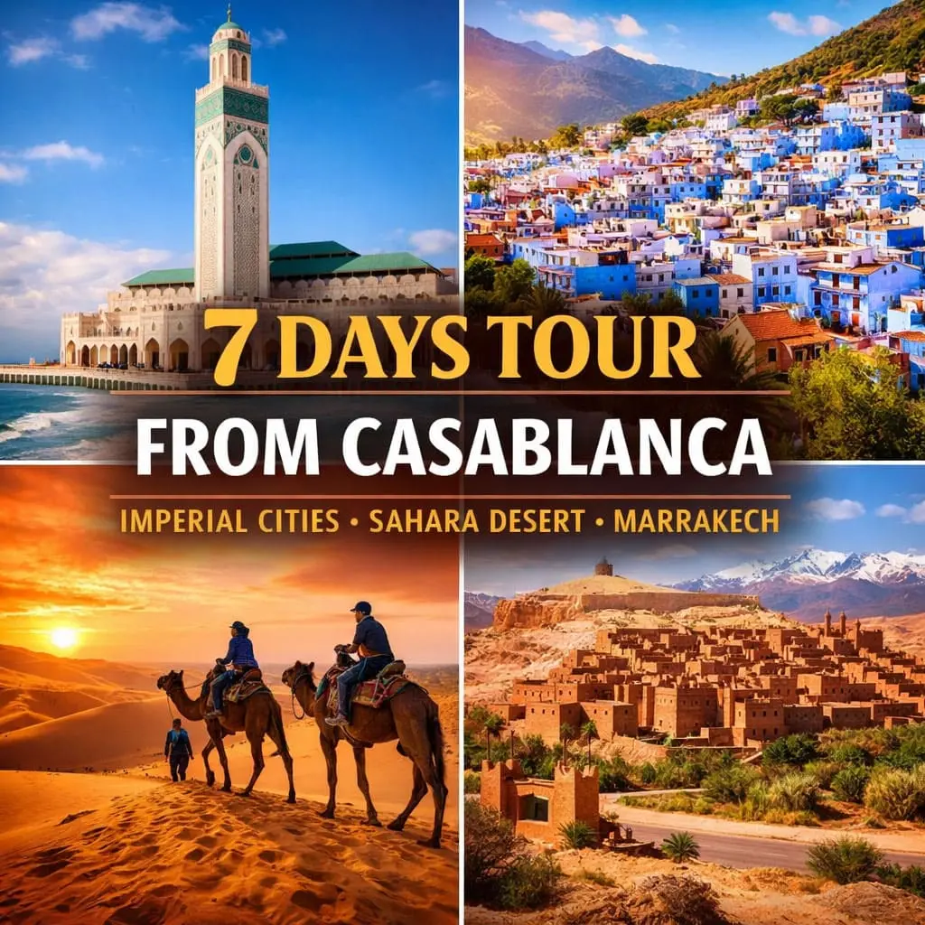 7-day tour from Casablanca highlights